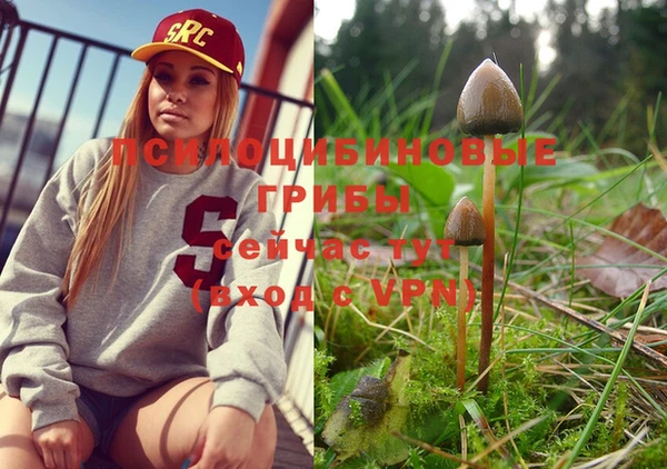 MESCALINE Абинск